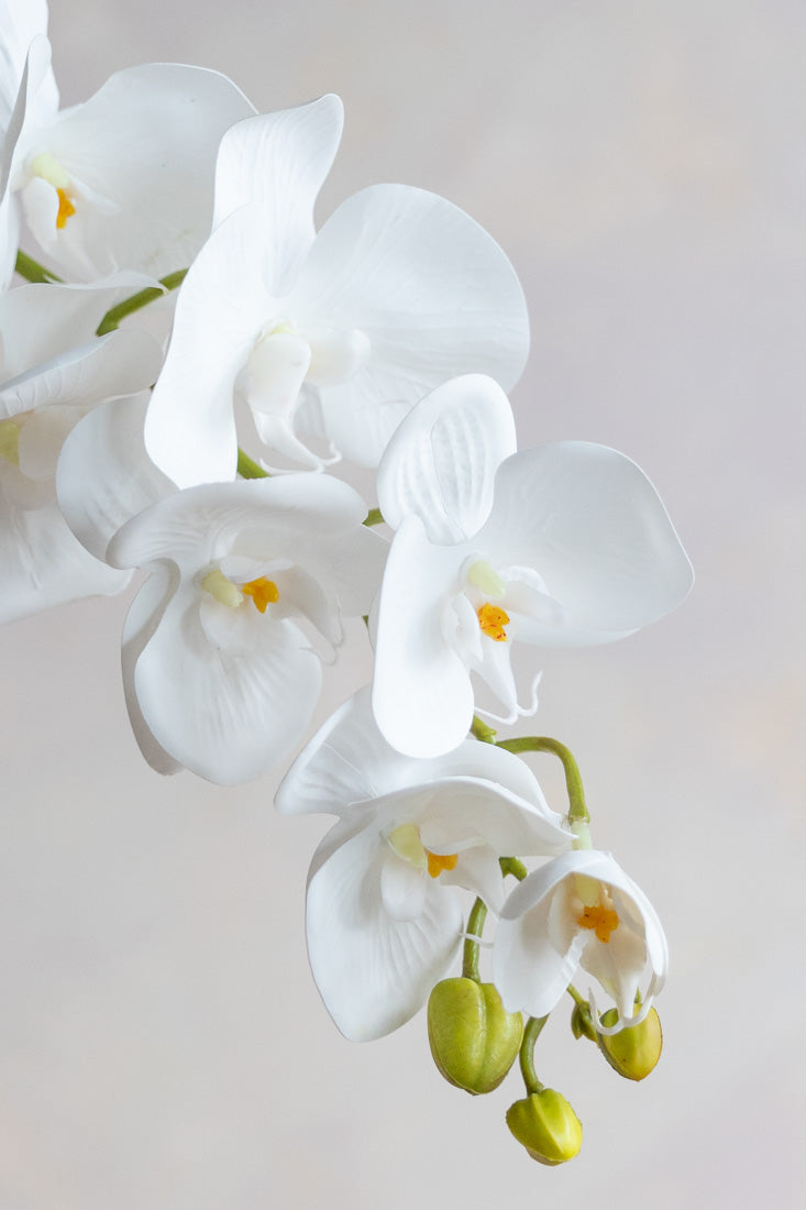 Faux Phalaenopsis Orchids 32"