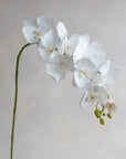 Faux Phalaenopsis Orchids 32"