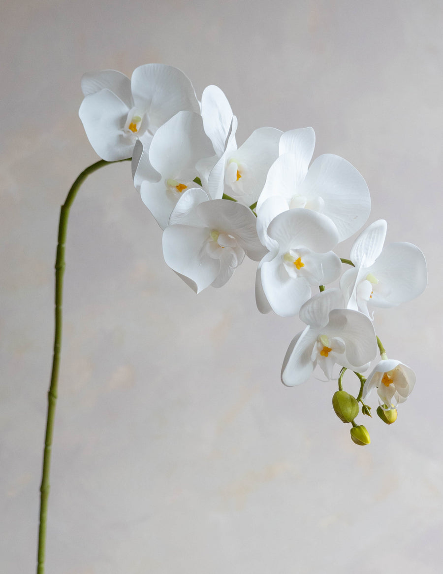 Faux Phalaenopsis Orchids 32"