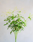 Clematis Greenery Silk 22"