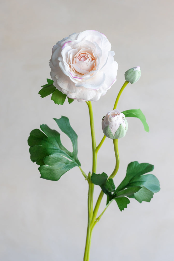 Real Touch Ranuculus Clooney Flower, Hot Pink