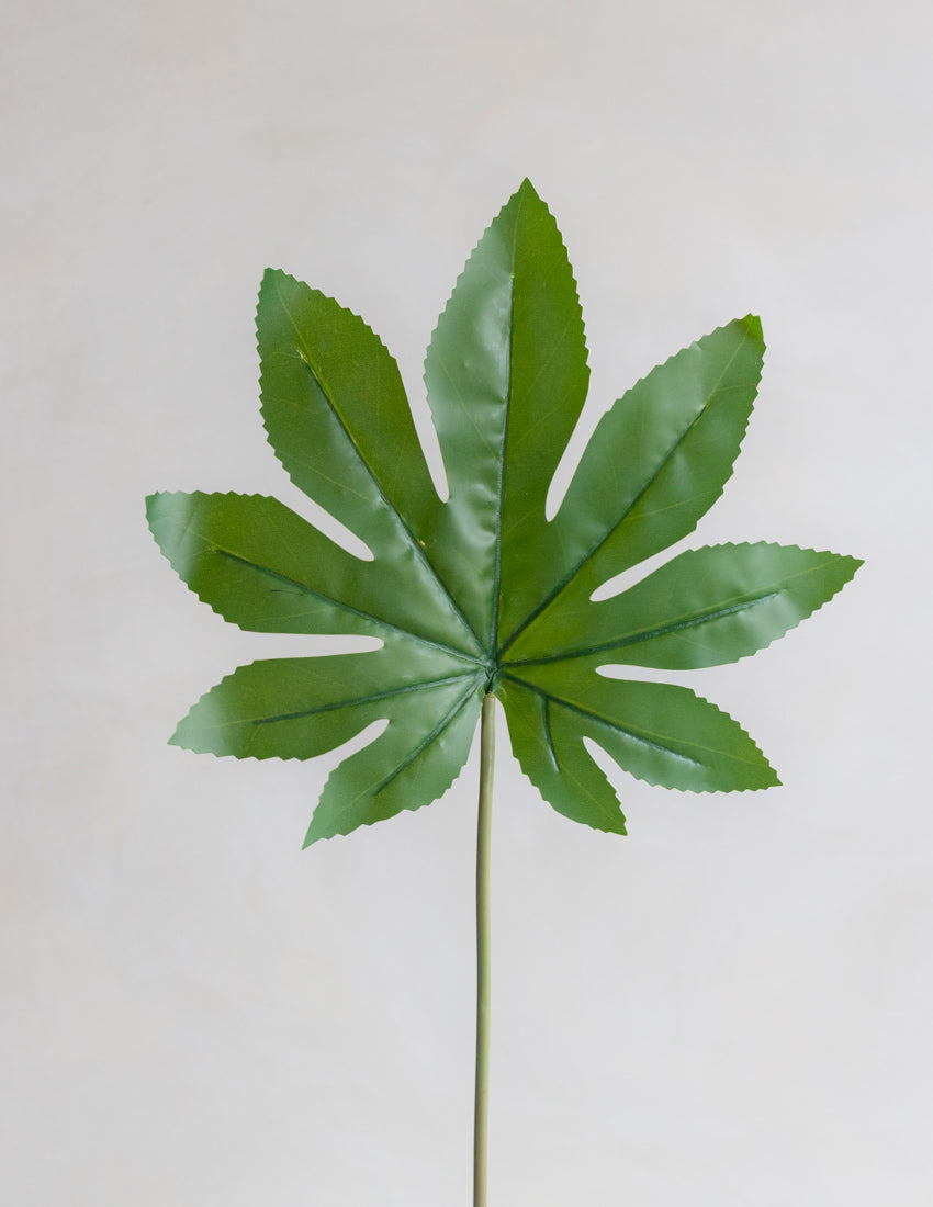 Faux Fatsia Single Leaf 18"