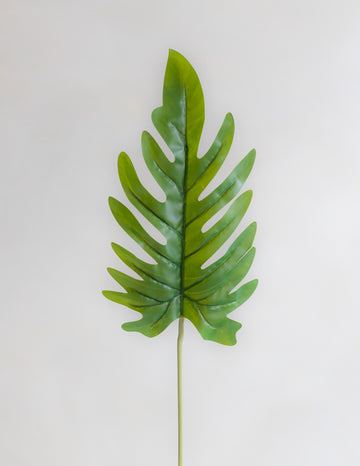 Faux Xanadu Single Leaf 23"